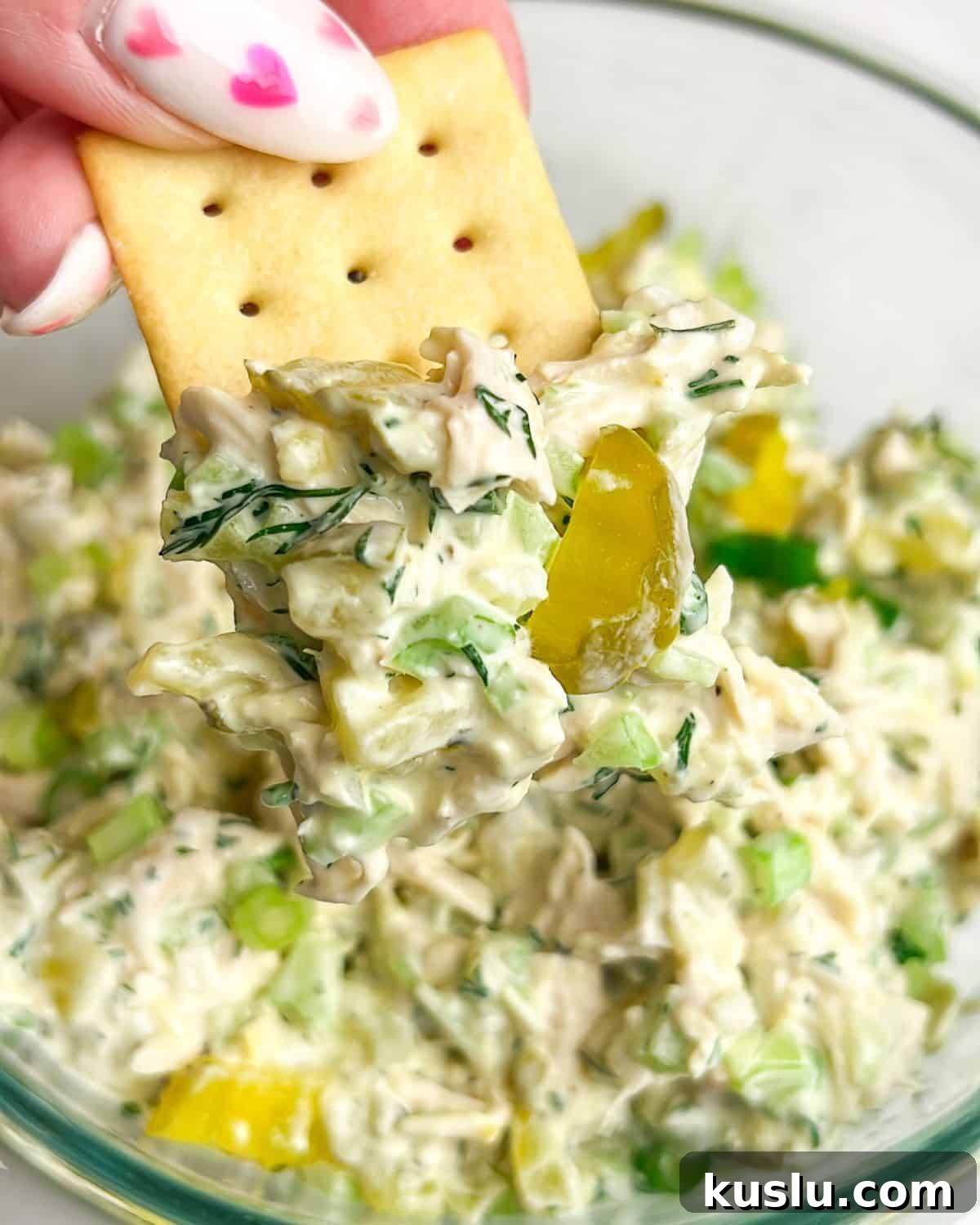 Dill Pickle Chicken Salad Recipe — Tangy Creamy Lunch Idea 3 chicken salad in a bowl and on a cracker in hand