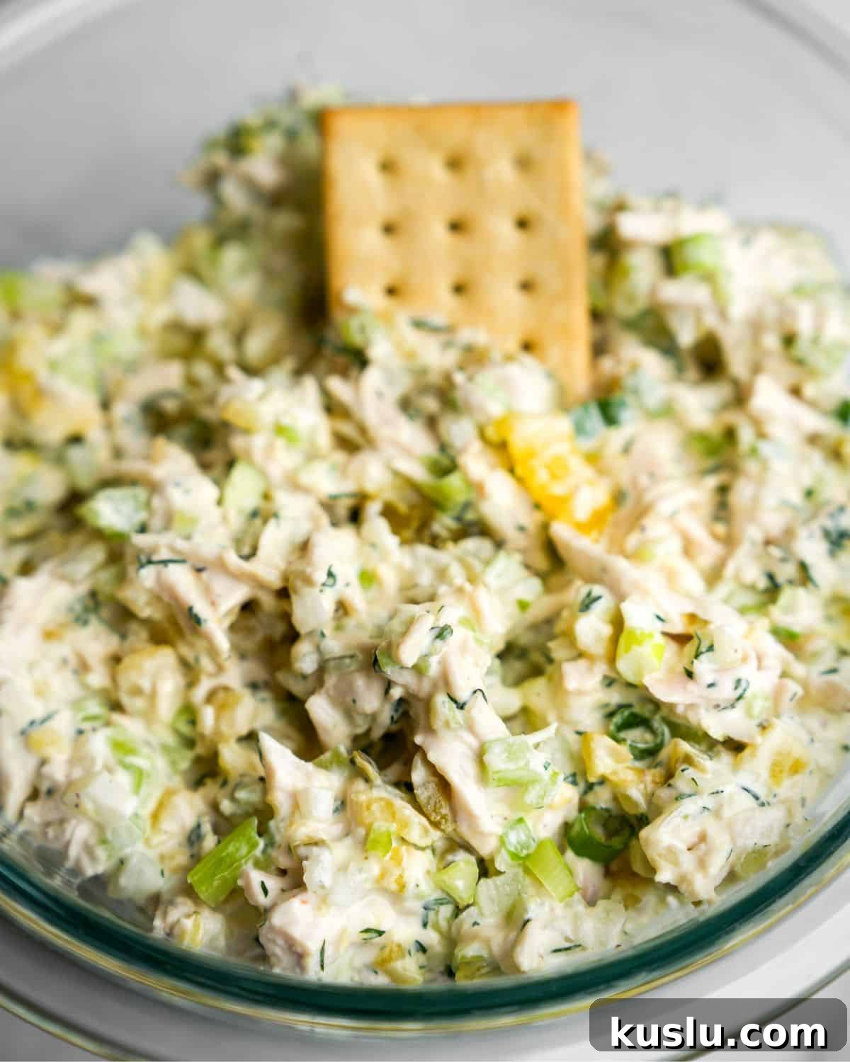 Dill Pickle Chicken Salad Recipe — Tangy Creamy Lunch Idea 6 chicken salad in a bowl with a cracker
