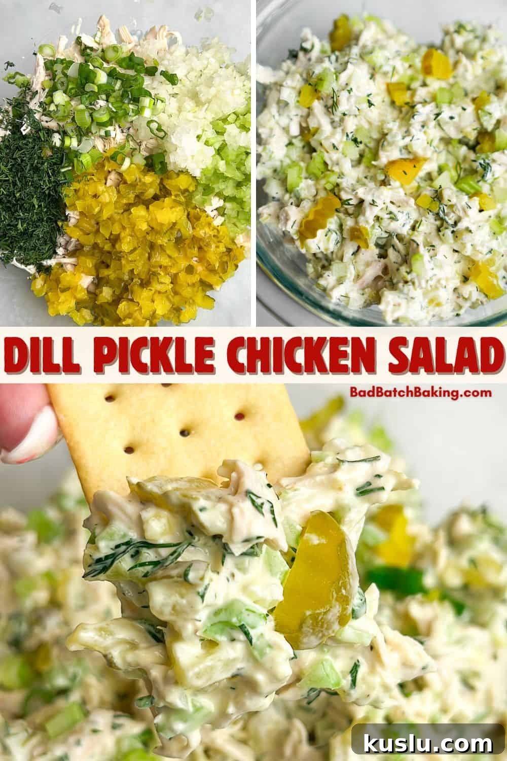 Dill Pickle Chicken Salad Recipe — Tangy Creamy Lunch Idea 8 dill pickle chicken salad