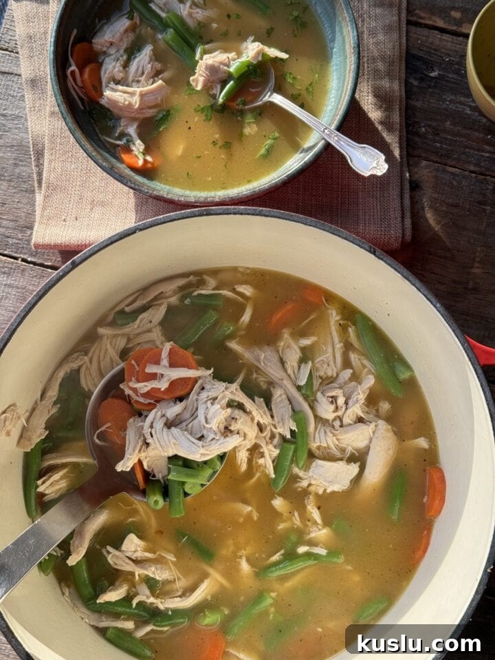 a photo of rotisserie chicken soup in a pot with a bowl of soup next to it
