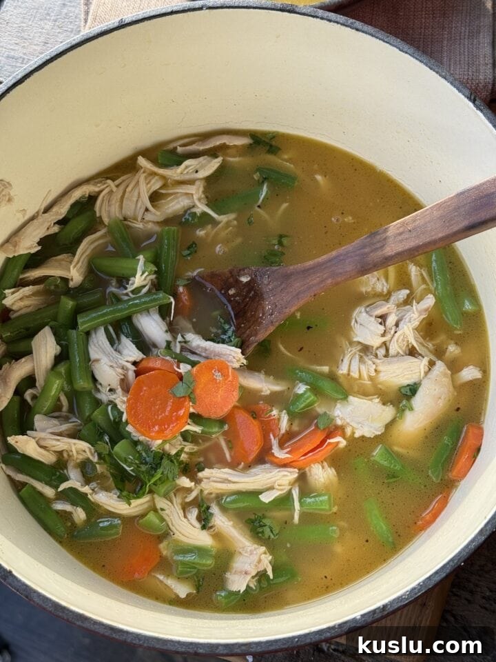 a close up photo of rotisserie chicken soup in a dutch oven