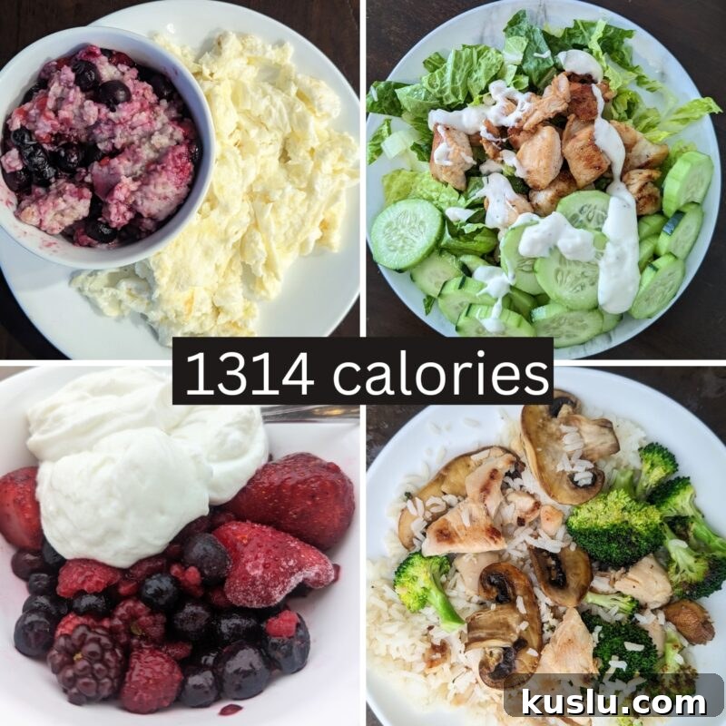 1300 calorie day