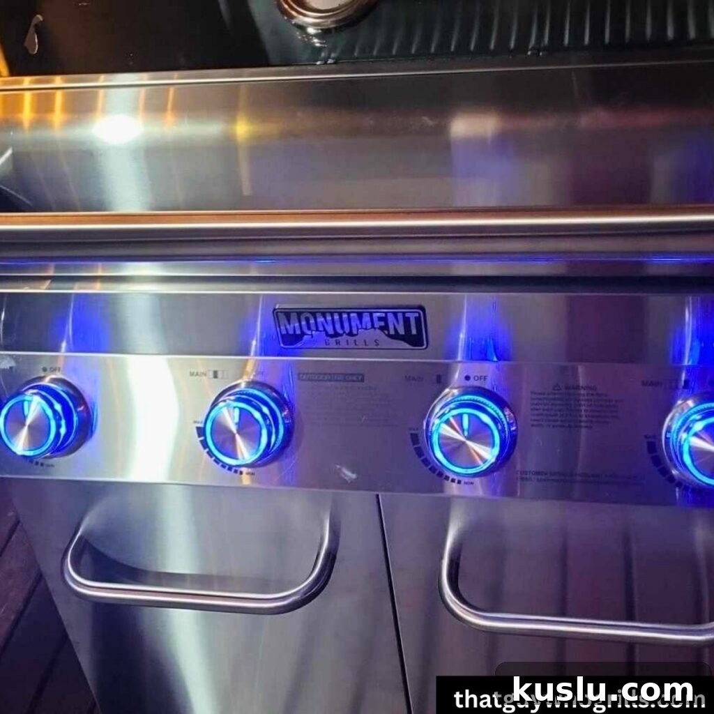 Monument Grills Review: Performance, Features, and Value Guide 7 Monument Grills Stainless 35633 with knob lights on