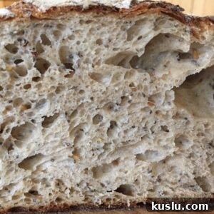 Chia and Flax Seed Sourdough Bread