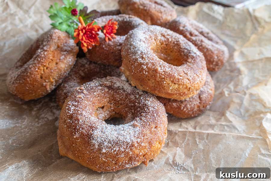 apple cider donuts, gluten free