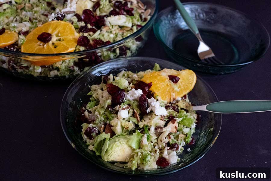 brussel sprout salad with cranberries in a bowl