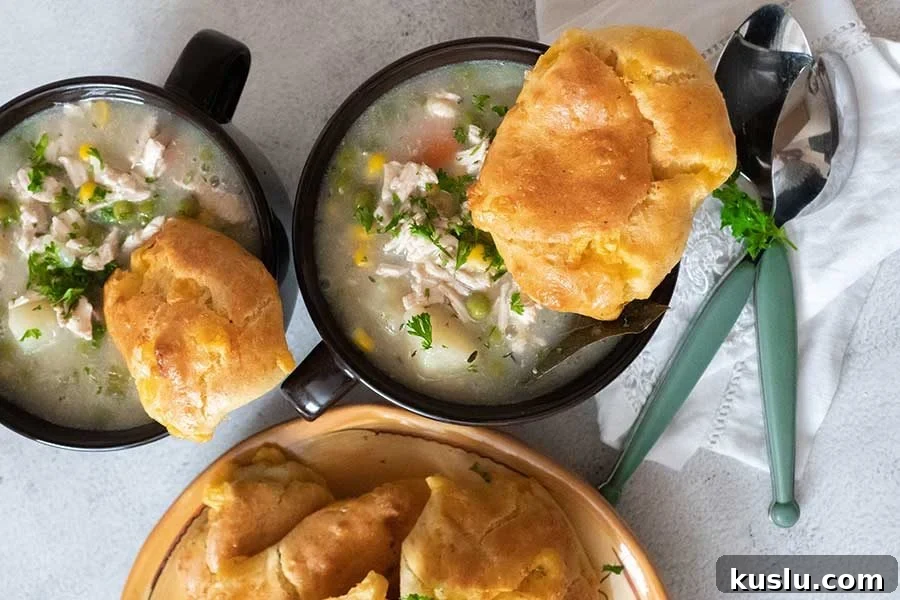 two bowls of chicken pot pie soup, fall recipe