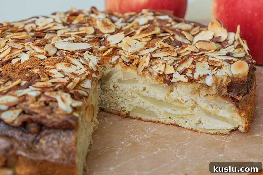 apple sponge cake, gluten free