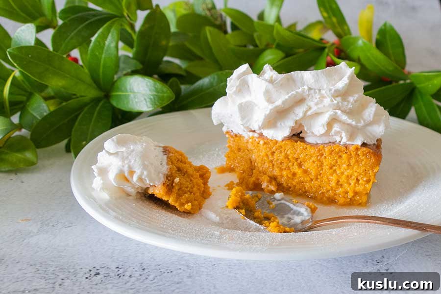 sweet potato pie with whipped cream on a plate