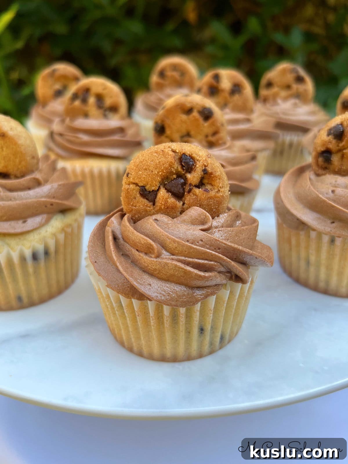 Decadent Chocolate Chip Cupcakes with Gooey Centers 2 Chocolate Chip Cupcakes, topped with chocolate frosting and mini chocolate chip cookies.
