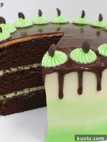 Mint Chocolate Chip Cake