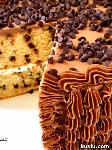 Chocolate Chip Cake Recipe