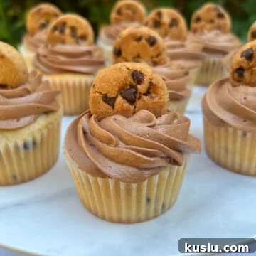 Decadent Chocolate Chip Cupcakes with Gooey Centers 10 Chocolate Chip Cupcakes, topped with chocolate frosting and mini chocolate chip cookies.
