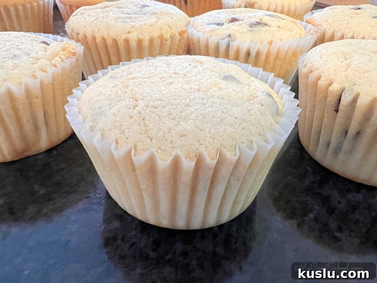 Decadent Chocolate Chip Cupcakes with Gooey Centers 4 Chocolate Chip Cupcakes, freshly baked.