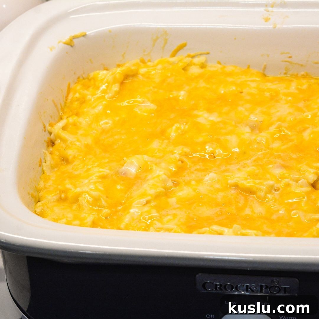 Add Toppings: In the last 30 minutes of cooking, sprinkle crumbled bacon, green onions, or more cheese on top, if desired.