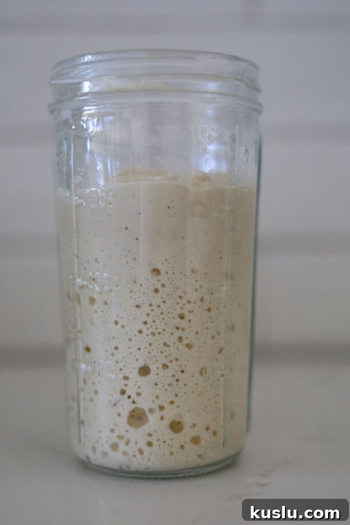 Bubbly sourdough starter in a jar