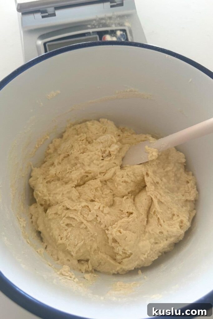 Shaggy dough after mixing