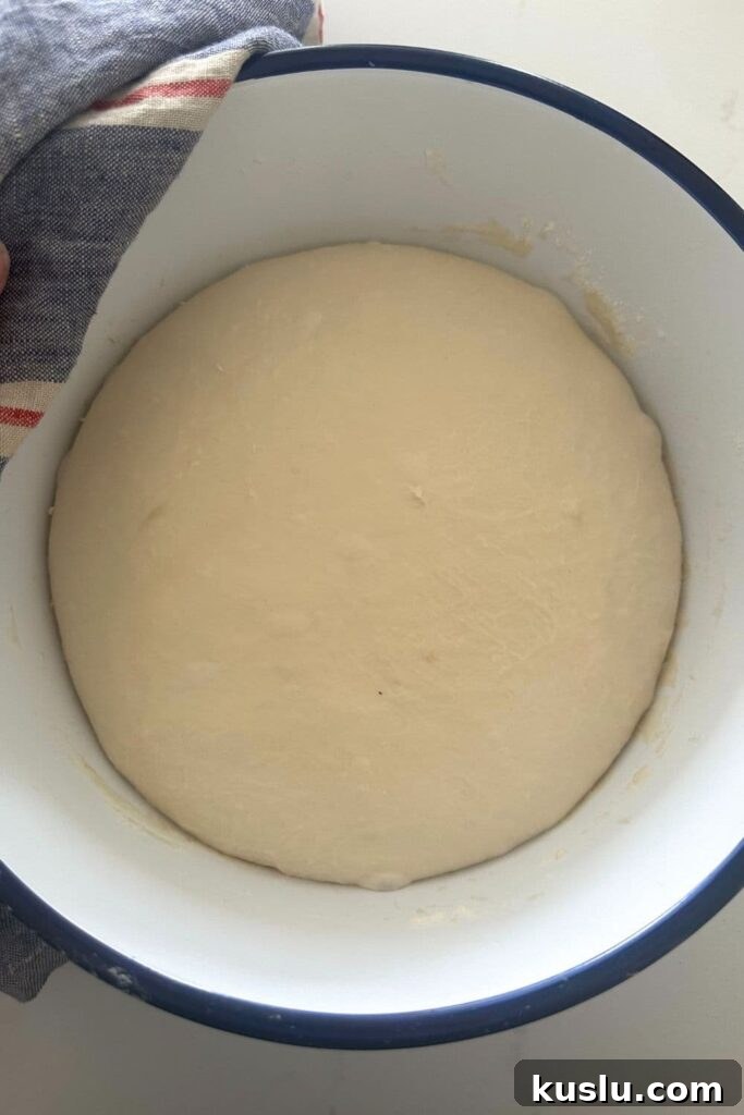 Dough after bulk fermentation
