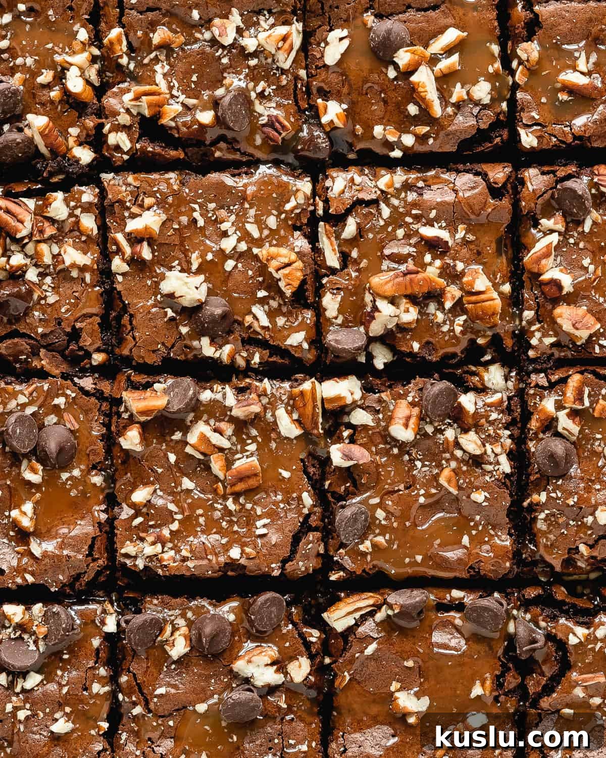 Turtle brownies are rich and fudgy brownies topped with a layer of salted caramel sauce, chopped pecans and sweet chocolate chips. These caramel brownies are the ultimate indulgence and taste just like the turtle candy. 