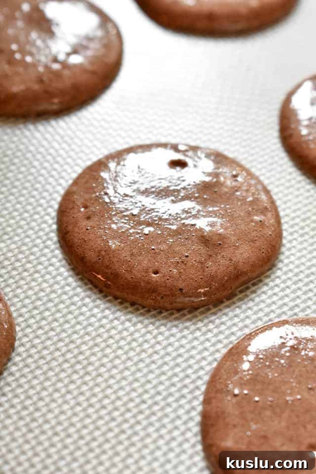 Finished macarons finished macarons