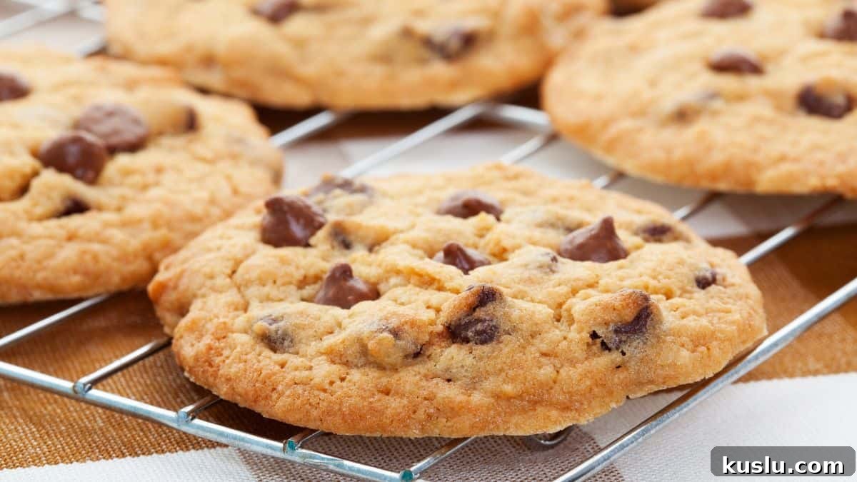 chocolate chip cookies