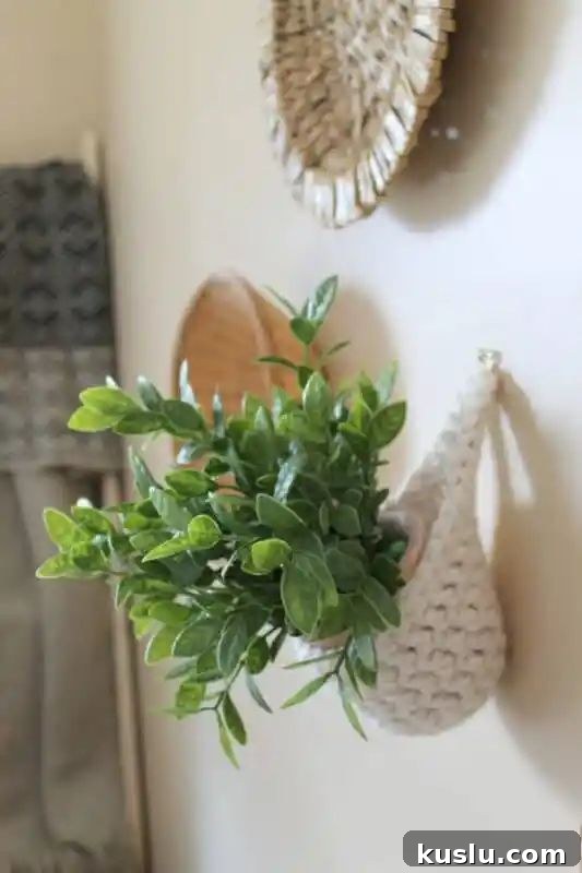  Crochet Plant Hanger