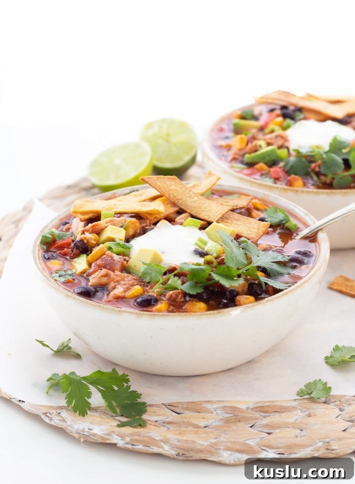 20 Protein-Packed Freezer Meals You'll Actually Love 6 Healthy Slow Cooker Chicken Tortilla Soup