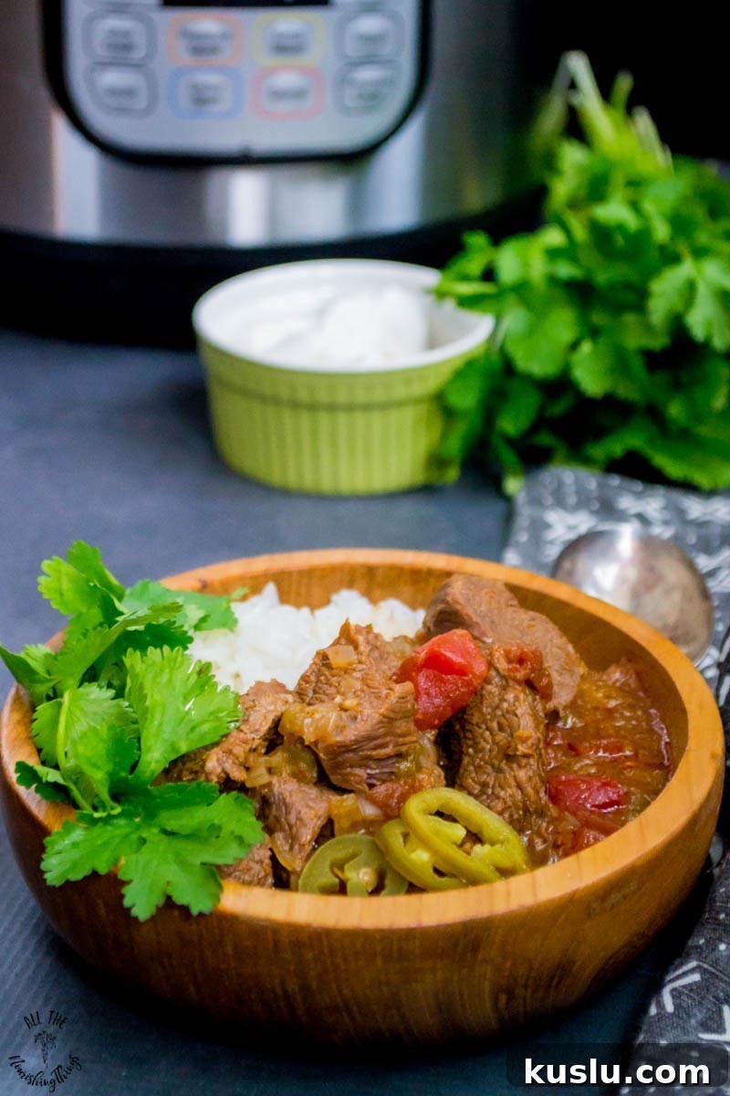 20 Protein-Packed Freezer Meals You'll Actually Love 9 Instant Pot Mexican Beef Stew