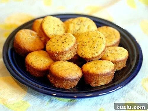 lemon poppy seed muffins