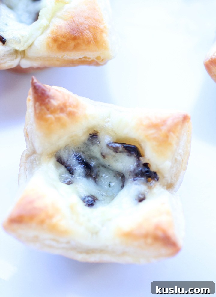 Portabella Mushroom and Brie Brunch Bites Portabella Mushroom and Brie Brunch Bites
