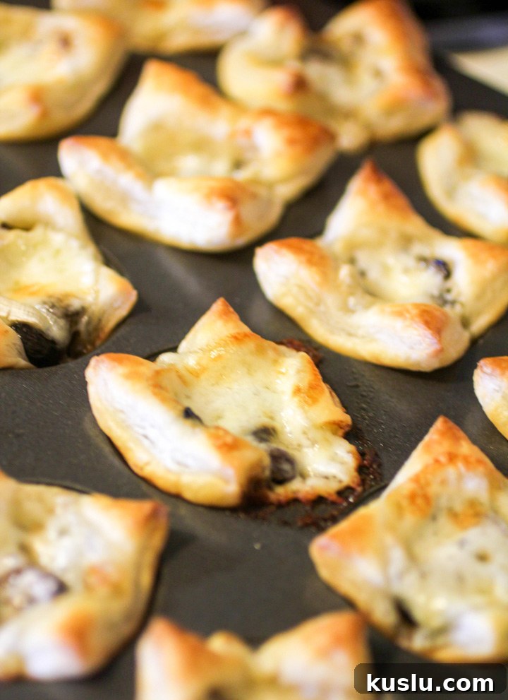 Portabella Mushroom and Brie Brunch Bites Portabella Mushroom and Brie Brunch Bites