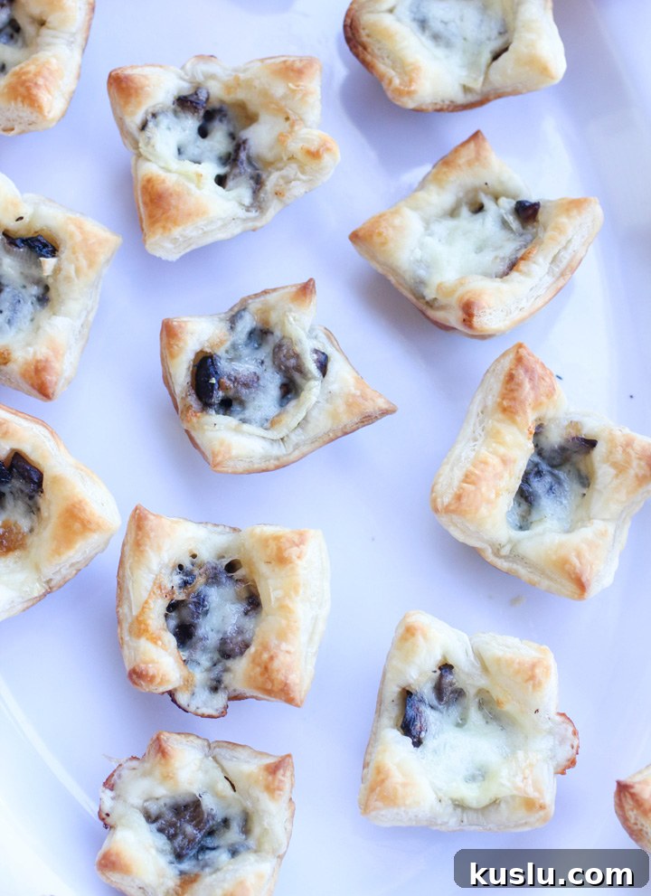 Portabella Mushroom and Brie Brunch Bites Portabella Mushroom and Brie Brunch Bites