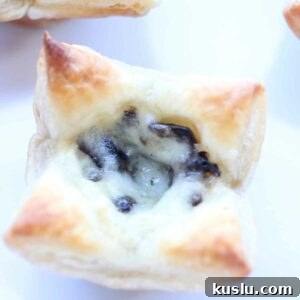 Portabella Mushroom and Brie Brunch Bites with Herbed Goat Cheese 6 Portabella Mushroom and Brie Brunch Bites Easy Appetizer