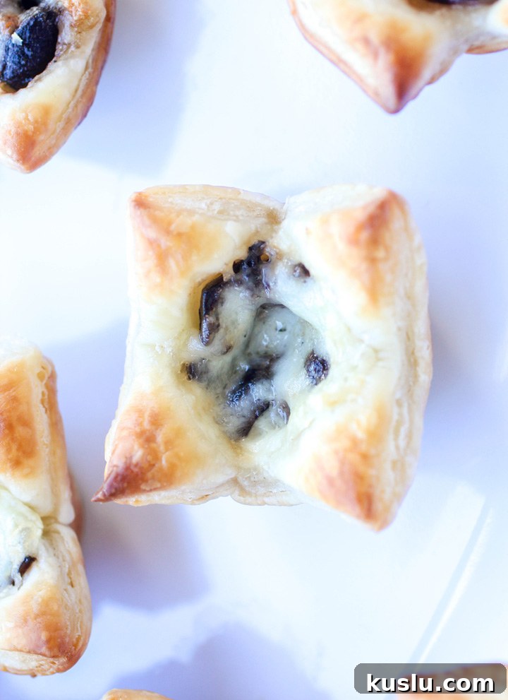Portabella Mushroom and Brie Brunch Bites Portabella Mushroom and Brie Brunch Bites
