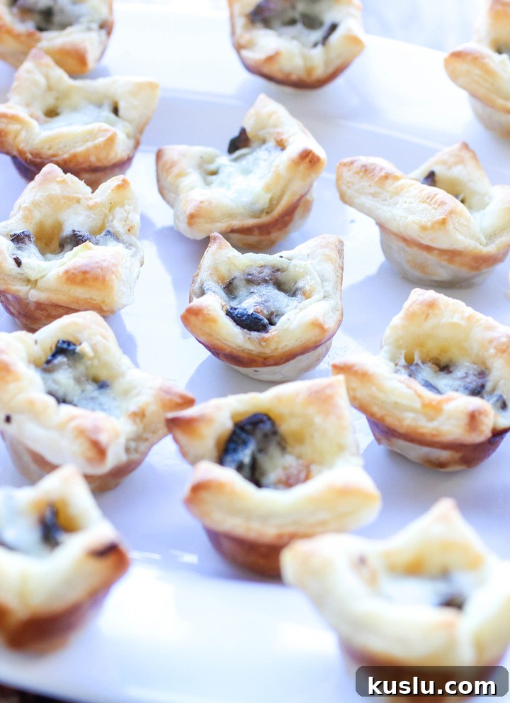 Portabella Mushroom and Brie Brunch Bites Portabella Mushroom and Brie Brunch Bites