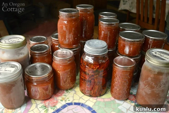 Flexible Planner You Can Start Anytime — Includes Free Habit Tracker 5 Tomato Recipes-60 pounds canned frozen and dried