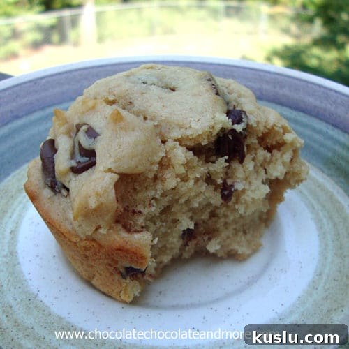 Peanut Butter Chocolate Chip Muffins Recipe for Moist, Gooey Bites 3 Peanut Butter Chocolate Chip Muffins