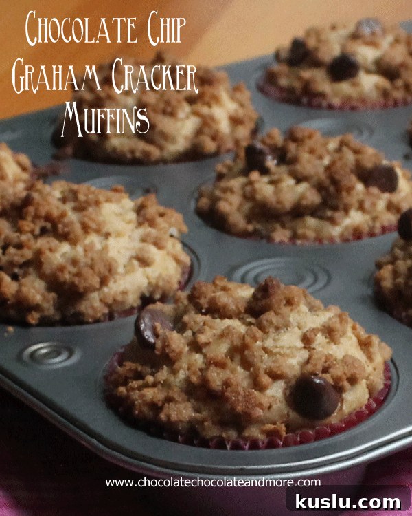 Peanut Butter Chocolate Chip Muffins Recipe for Moist, Gooey Bites 6 Chocolate Chip Graham Cracker Muffins