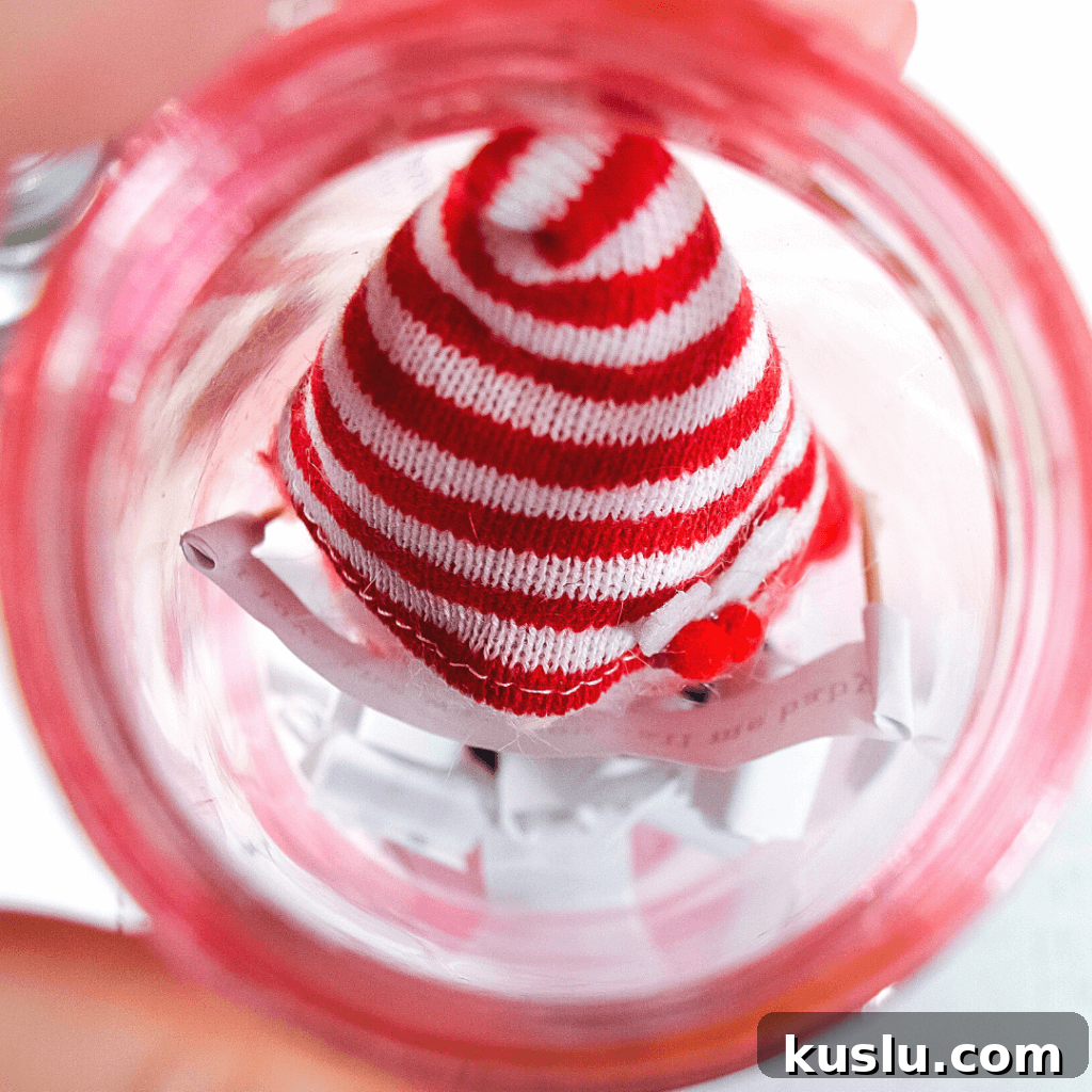 Gnome inside the mason jar
