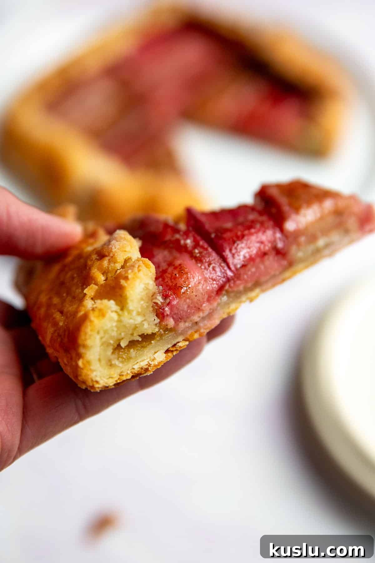 a hand holding a piece of rhubarb galette