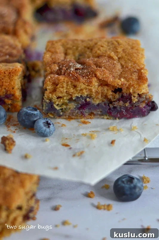 Blueberry Coffee Cake Recipe With Buttery Streusel 2 slice of coffee cake on parchment on a cooling rack