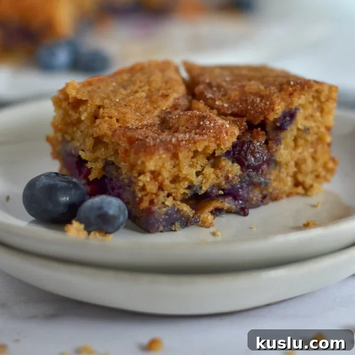 blueberry coffee cake on a plate