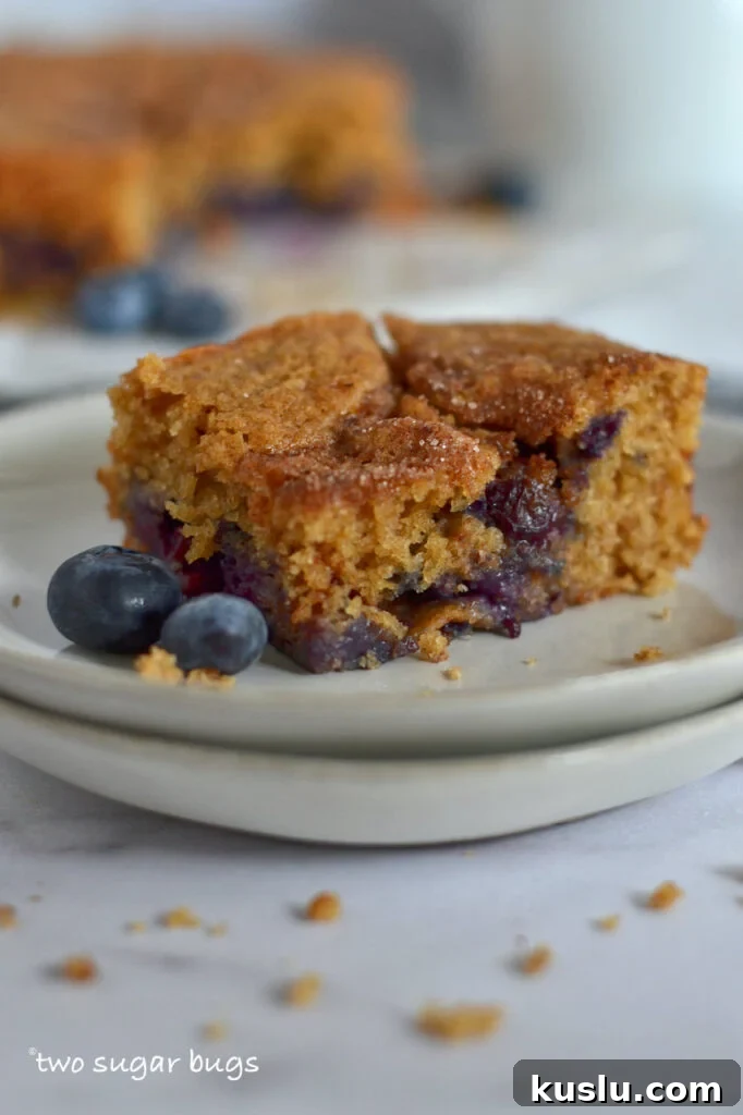 Blueberry Coffee Cake Recipe With Buttery Streusel 3 blueberry coffee cake on a plate