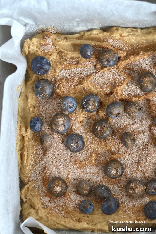 Blueberry Coffee Cake Recipe With Buttery Streusel 7 unbaked cake with blueberries and cinnamon sugar on top