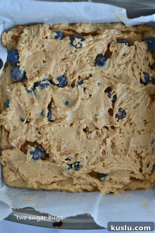 Blueberry Coffee Cake Recipe With Buttery Streusel 8 cake batter in baking pan