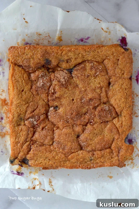 Blueberry Coffee Cake Recipe With Buttery Streusel 9 baked cake on parchment paper