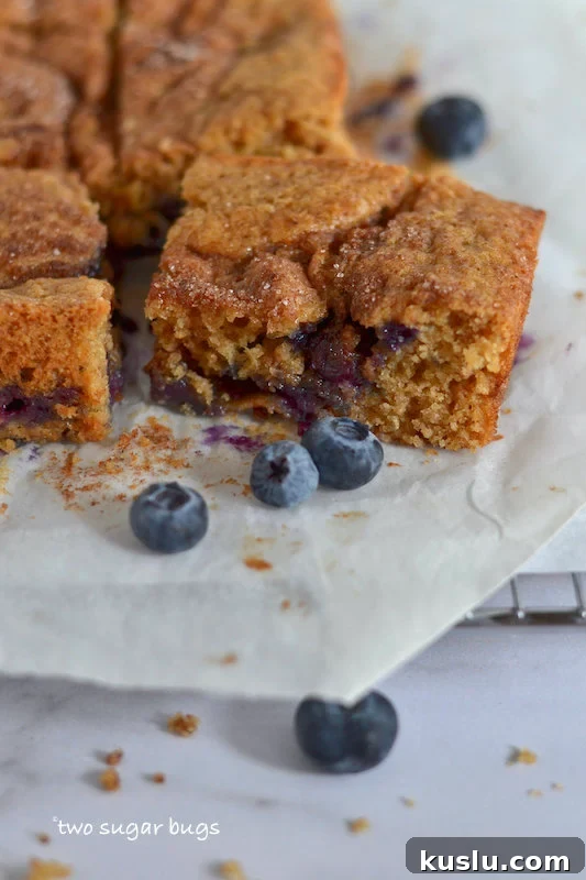 Blueberry Coffee Cake Recipe With Buttery Streusel 10 slice of coffee cake surrounded by blueberries