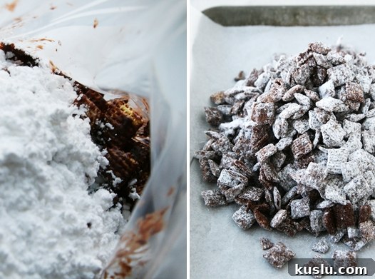 powderedsugarpuppychow powderedsugarpuppychow