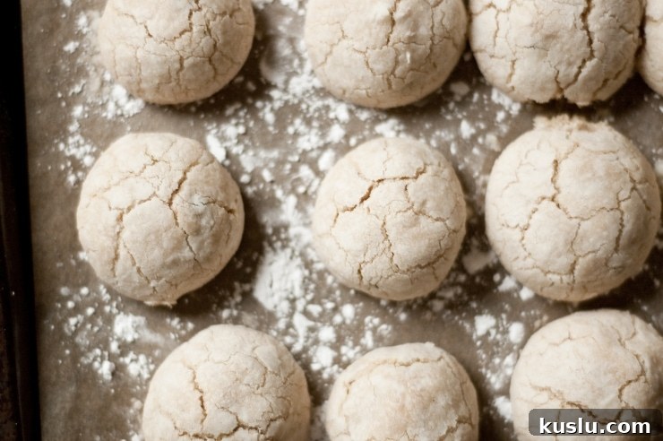 Pistachio Polvorones: Authentic Spanish Shortbread Cookies 5 Mexican Wedding Cookies, Russian Tea Cakes, Polvorones- whatever you know them as, these delicate cookies are perfect for any occasion. | sophisticatedgourmet.com