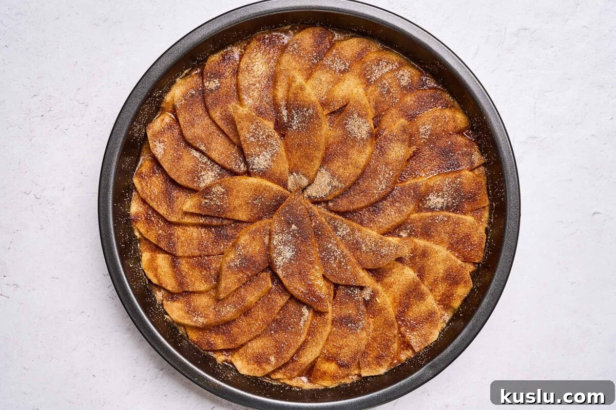 Moist Golden Delicious Apple Cake Recipe for Fall Baking 7 Golden Delicious apple cake dusted with cinnamon sugar and ready for the oven.